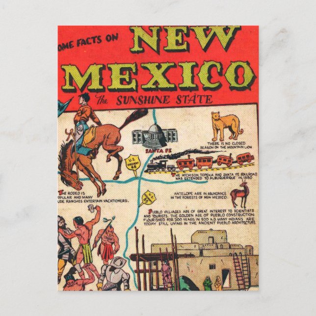 New Mexico Postkarte (Vorderseite)