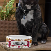 New Mexico Red Chile Pinõn Zia Hot Air Ballon