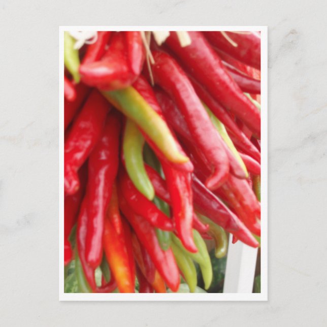 New Mexico Red Chili Postkarte (Vorderseite)