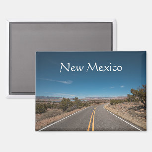 New Mexico Souvenir Magnet