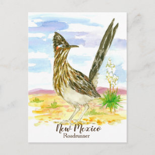 New Mexico Staat Bird Roadrunner Yucca Postkarte