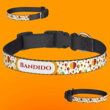 New Mexico Zia Heißluftballons