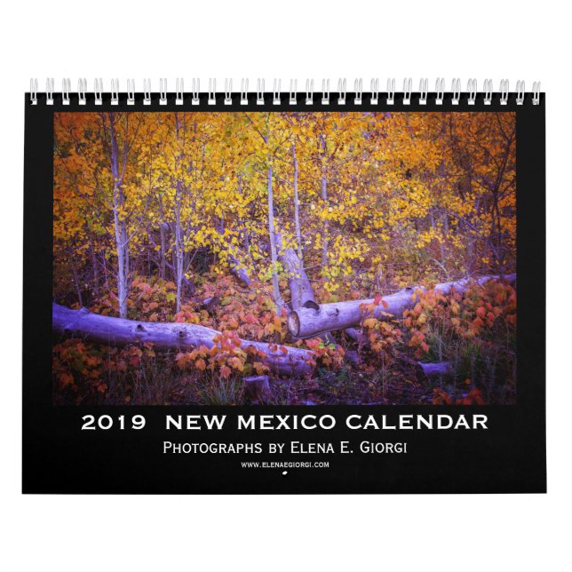 New Mexiko-Kalender 2019 Kalender (Titelbild)