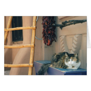 New Mexiko-Katze