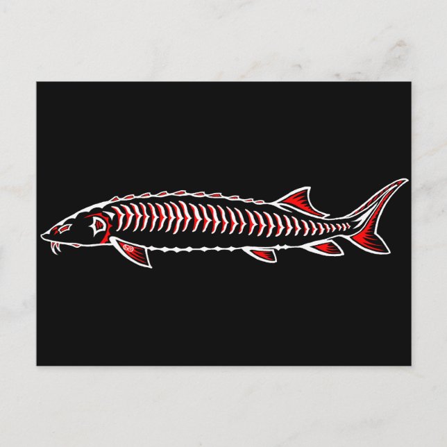 New Native - White Sturgeon Postkarte (Vorderseite)