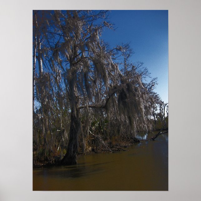 New Orleans Bayou Poster (Vorne)