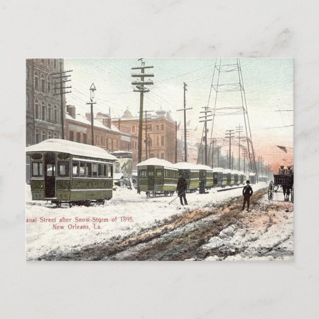 New Orleans Canal St Snow 1895 Postkarte (Vorderseite)