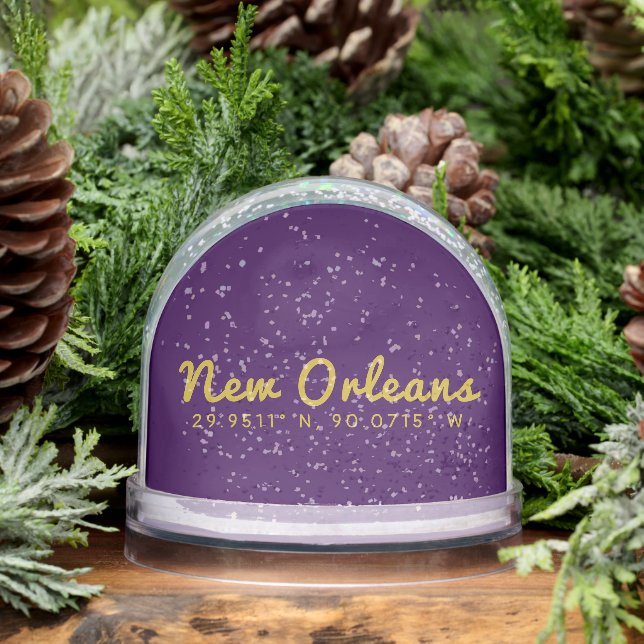 New Orleans Coordinates Schneekugeln (Winter)