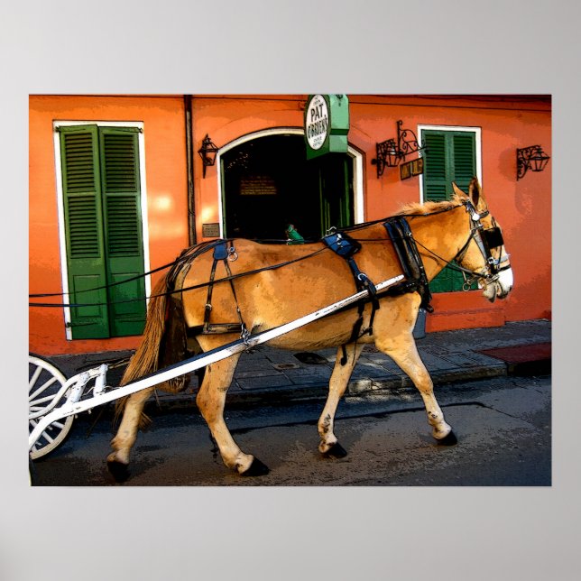 New Orleans French Quarter Carriage Mule Print Poster (Vorne)