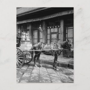 New Orleans Milk Cart: 1903 Postkarte