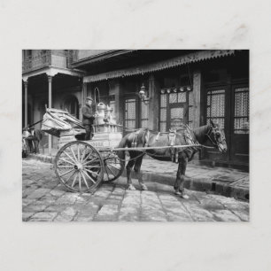 New Orleans Milk Cart: 1903 Postkarte