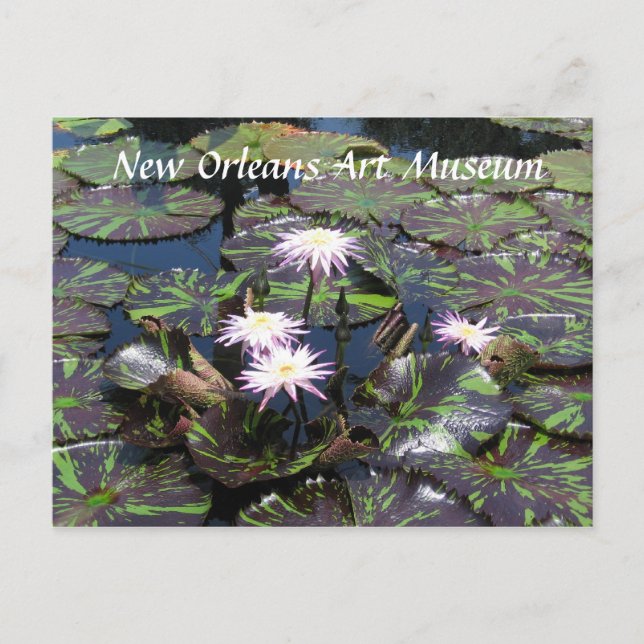 New Orleans Museum Postkarte (Vorderseite)