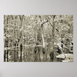 New Orleans Swamp Poster