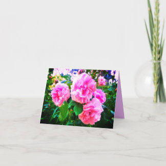 NEW! PINK ROSES GREETING CARD KARTE