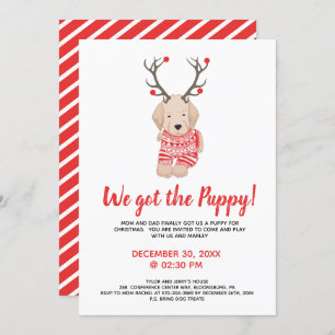 New Puppy Christmas Kids Party Playdor Einladung