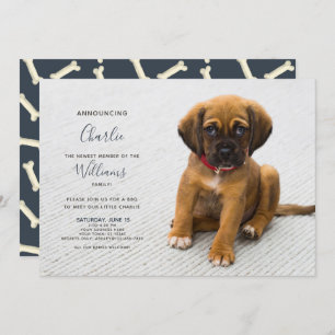 New Puppy Kitten Adoption Ankündigung Foto