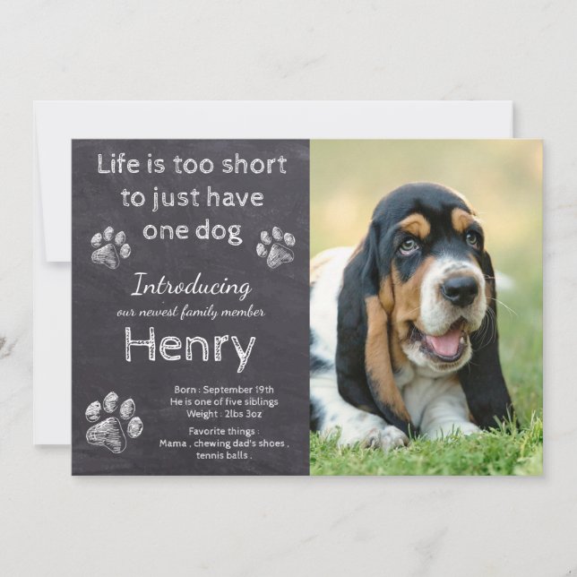 New Puppy - Rustic Pet Foto Chalkboard Puppy Ankündigung (Vorderseite)