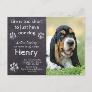 New Puppy - Rustic Pet Foto Chalkboard Puppy Ankündigungspostkarte
