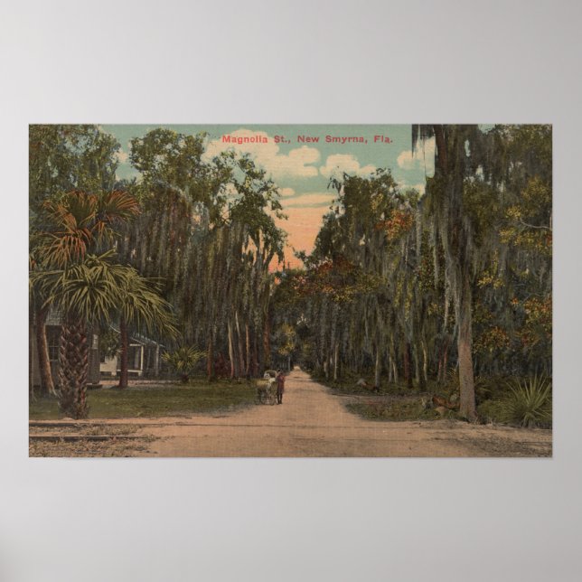 New Smyrna, Florida - Blick auf Magnolien Poster (Vorne)