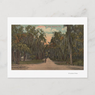 New Smyrna, Florida - Blick auf Magnolien Postkarte