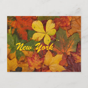 New York Autumn Leaves Postcard Postkarte