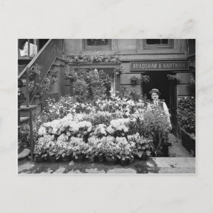 New York Blume Shop, 1895 Postkarte