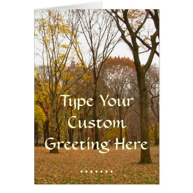 New York Card Central Park New York Souvenir Card (Vorne)