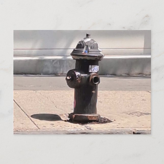 New York City Fire Hydrant Post Card Postkarte (Vorderseite)