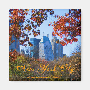 New York City Magnet
