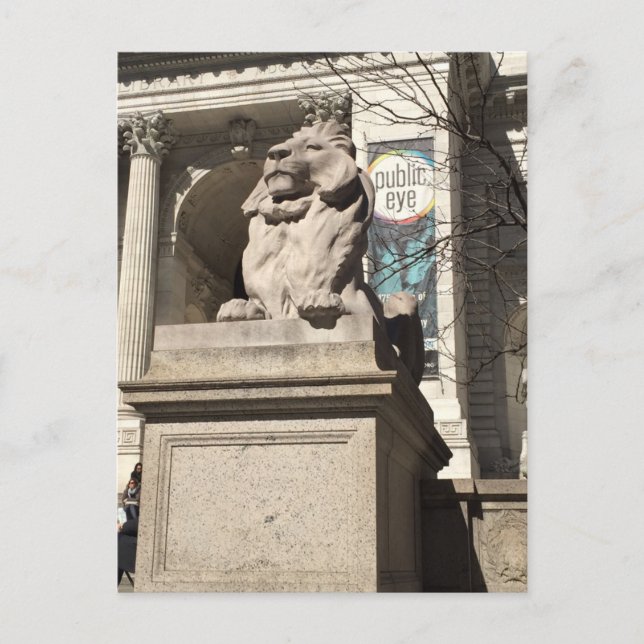 New York City NYC Public Library Lion Statue Postkarte (Vorderseite)