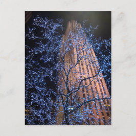 New- York Citynachtweg CricketDiane Postkarte