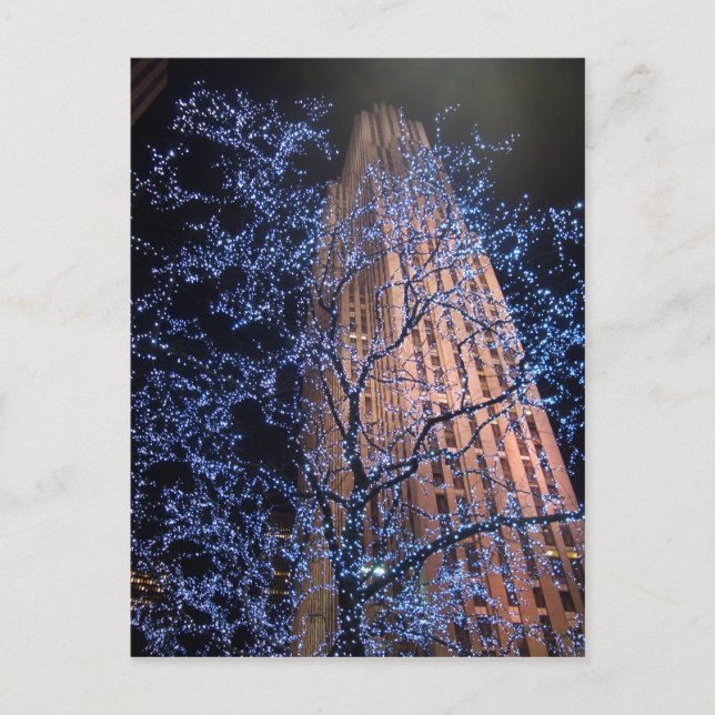 New- York Citynachtweg CricketDiane Postkarte (Vorderseite)