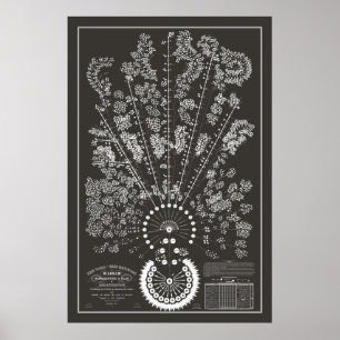 New York & Erie Railroad Org - Dunkel - Kontur Poster