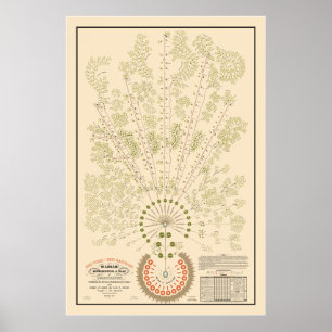 New York & Erie Railroad Org - hell - Farbe Poster
