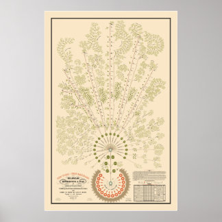 New York & Erie Railroad Org - hell - Farbe Poster