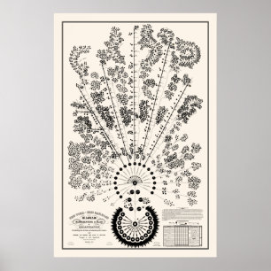 New York & Erie Railroad Org - Kontur Poster