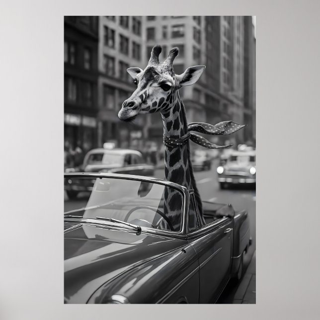 New York Giraffe Poster (Vorne)