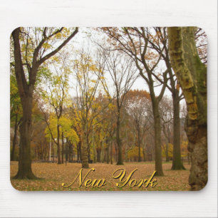New York Mousepad Central Park New York Geschenke
