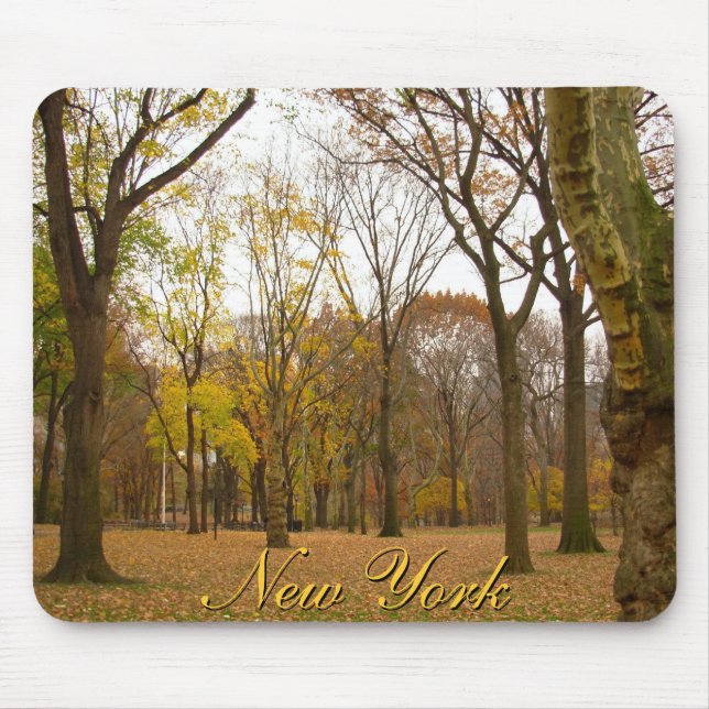 New York Mousepad Central Park New York Geschenke (Vorne)