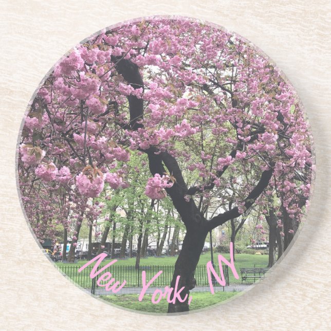 New York, NY Pink Cherry Blossom Tree Manhattan Untersetzer (Vorne)
