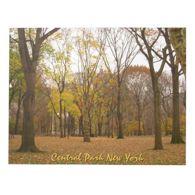 New York Souvenir Notepad Central Park NYC Geschen Notizblock (Vorderseite)