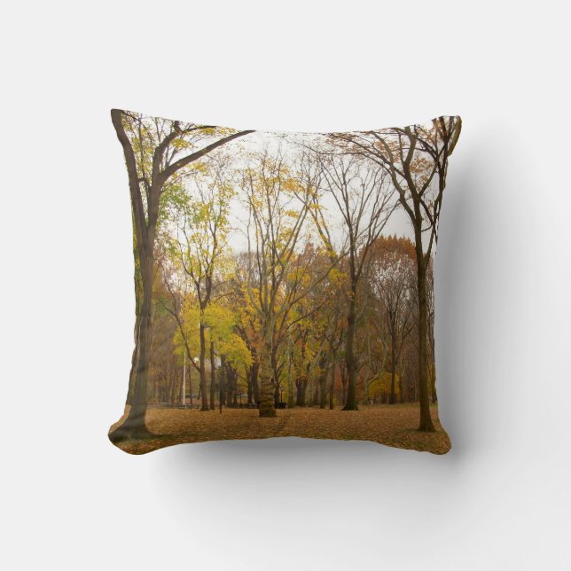 New York Souvenir Pillow NY Central Park Pillow Kissen (Vorderseite)