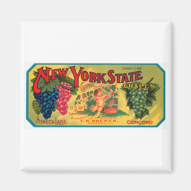 New York Staat Grapes Magnet (Vorne)