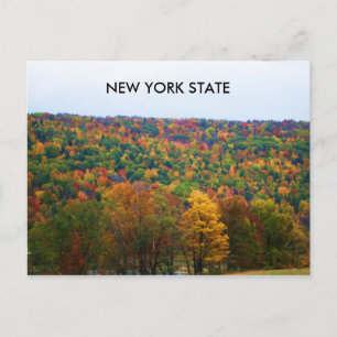 NEW YORK STAAT IN DER HERBSTPLATTE POSTKARTE