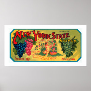 New York State Grapes Poster