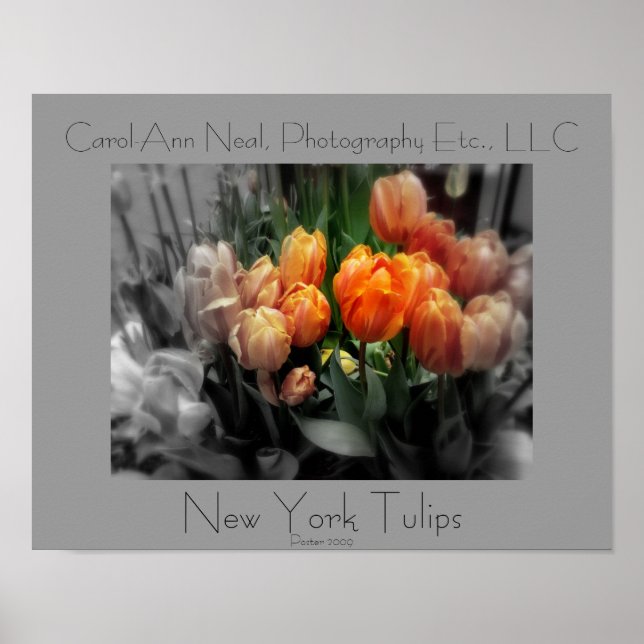 New York Tulips Poster (Vorne)