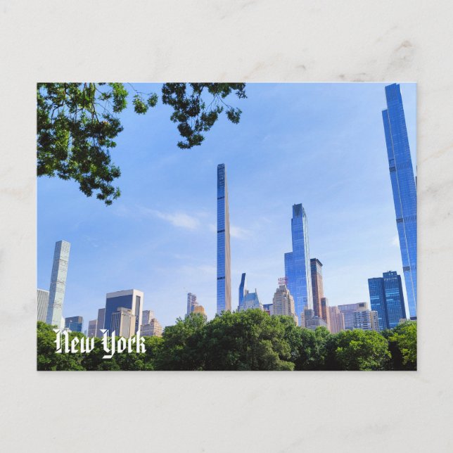 New York View Postcard Central Park & Brooklyn  Postkarte (Vorderseite)