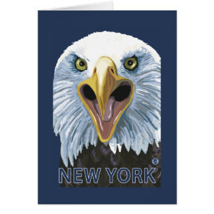 New YorkEagle Up Nah