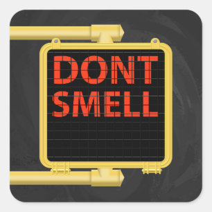 New Yorker Crosswalk - Schildkröte Quadratischer Aufkleber