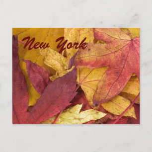 New Yorker Herbstlaub Postkarte